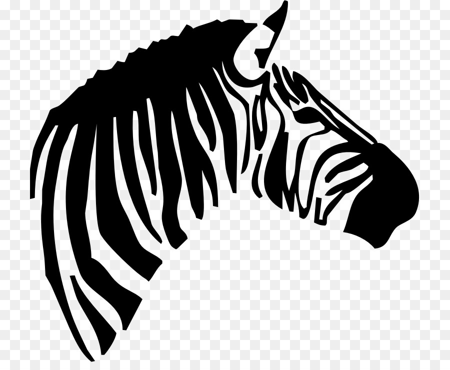 Zebra，Fondo De Escritorio PNG