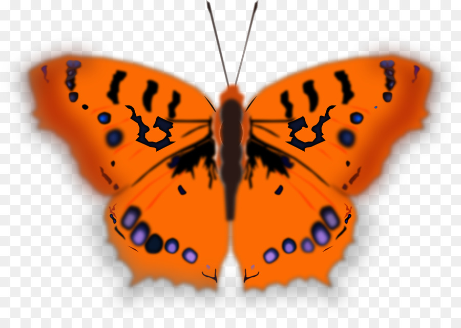 Mariposa，Fondo De Escritorio PNG