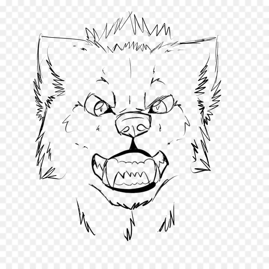 Cara De Lobo Enojado，Animal PNG