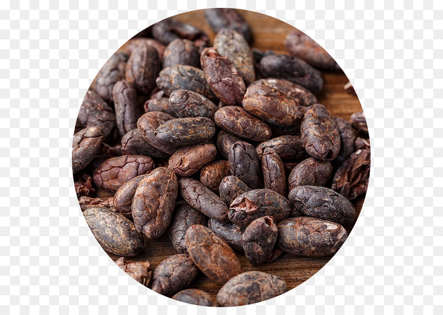 árbol Del Cacao，Grano De Cacao PNG