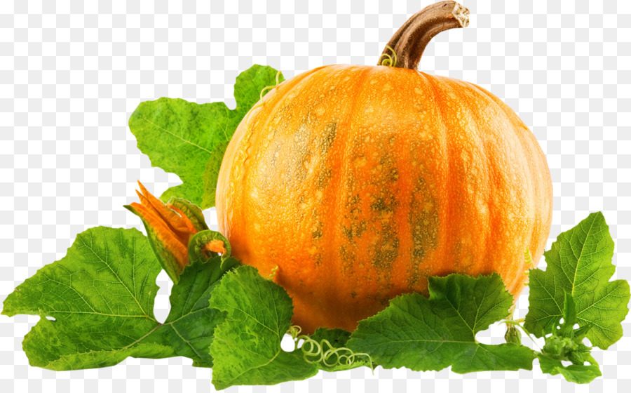 Cucurbita Pepo，De Las Cucurbitáceas PNG