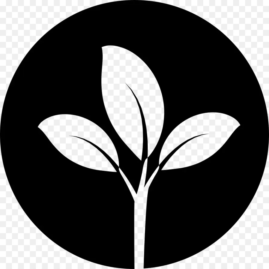 Icono De Planta，Hojas PNG