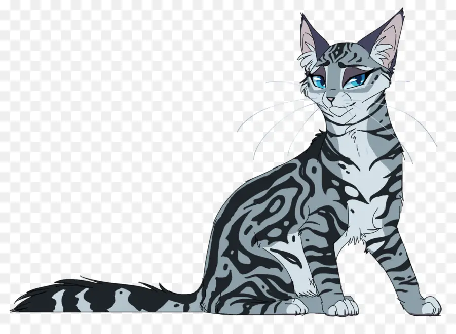 Gato，Felino PNG