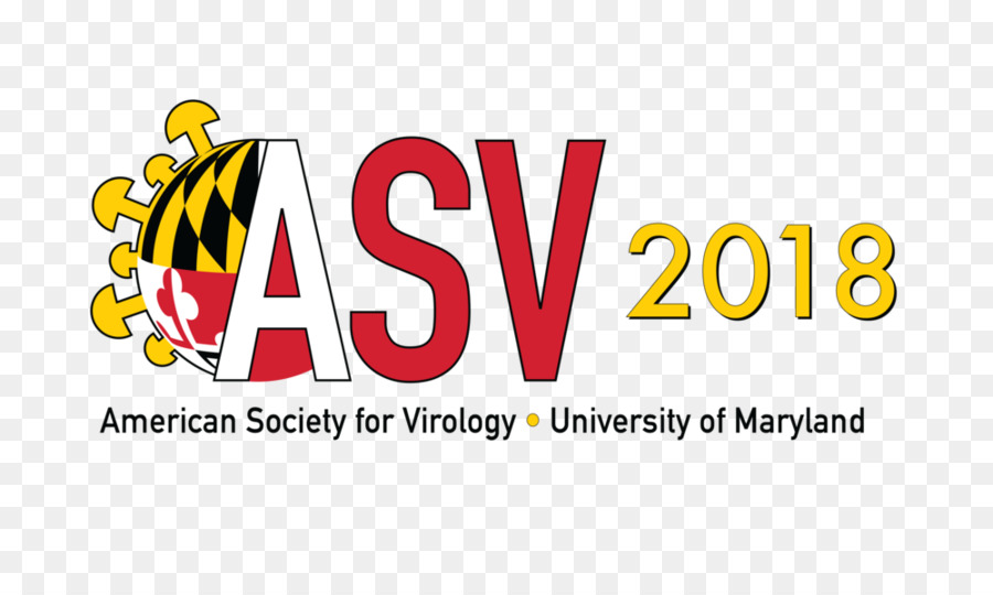 La Universidad De Maryland En College Park，Asv 2018 PNG