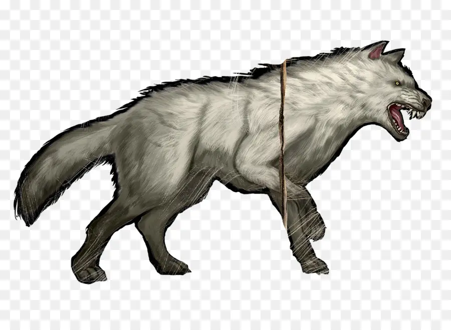 Lobo，Salvaje PNG