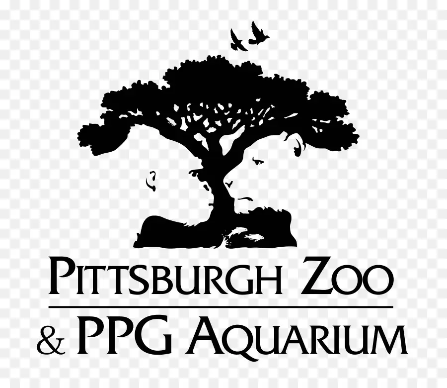 Pittsburgh Zoo Acuario Ppg，Gorila PNG