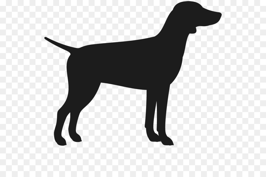 Labrador Retriever，Flatcoated Retriever PNG