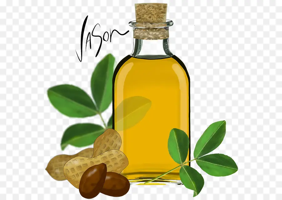 Aceite De Girasol，Los Aceites De Cocina PNG