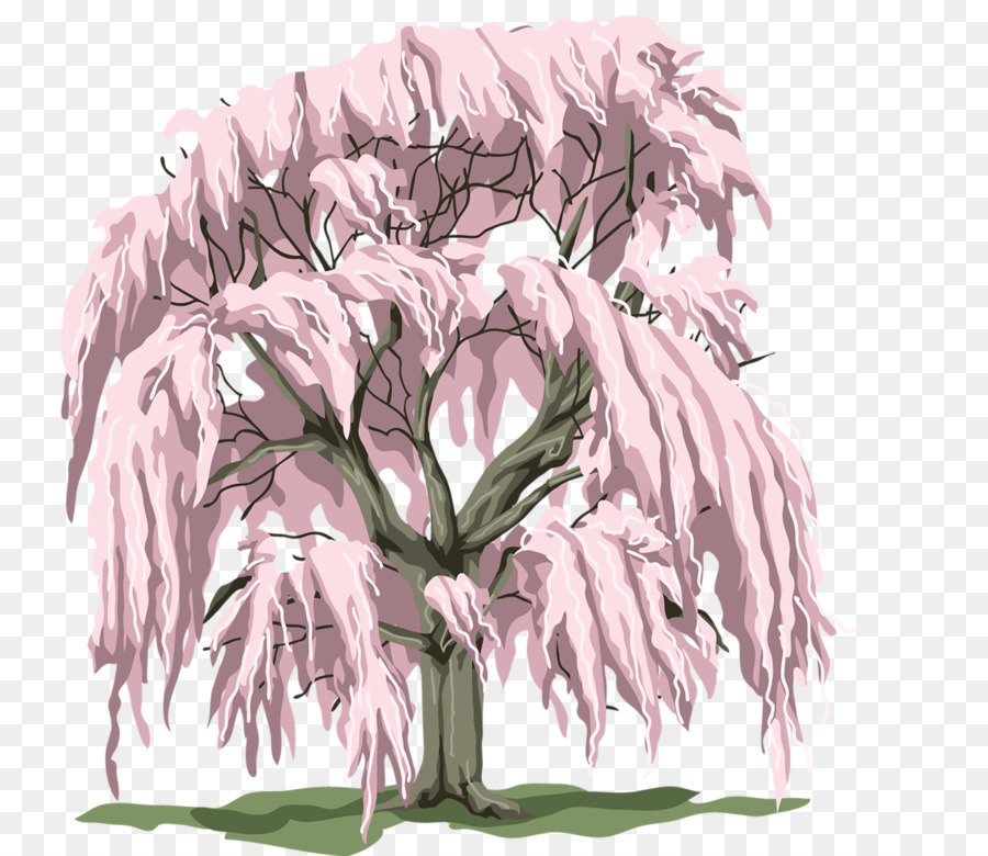 De Los Cerezos En Flor，árbol PNG