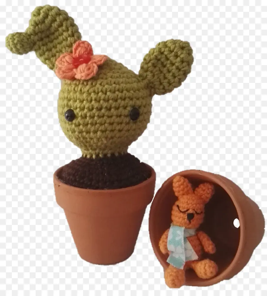 Cactus De Ganchillo，Planta PNG