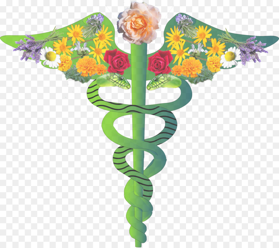 Médico，Medicina PNG