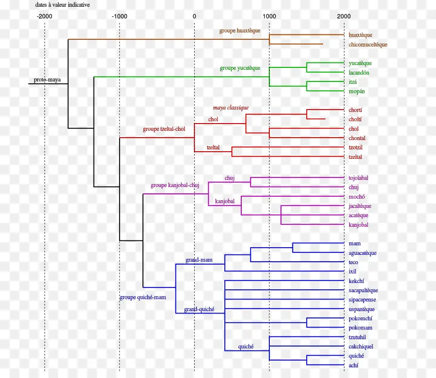 Modelo De árbol，Idioma PNG