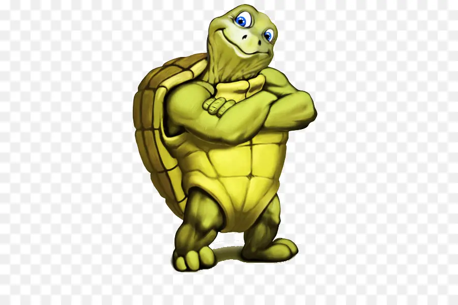 Tortuga，Dibujo PNG