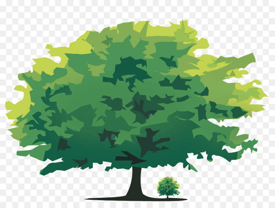 árbol，Iconos De Equipo PNG