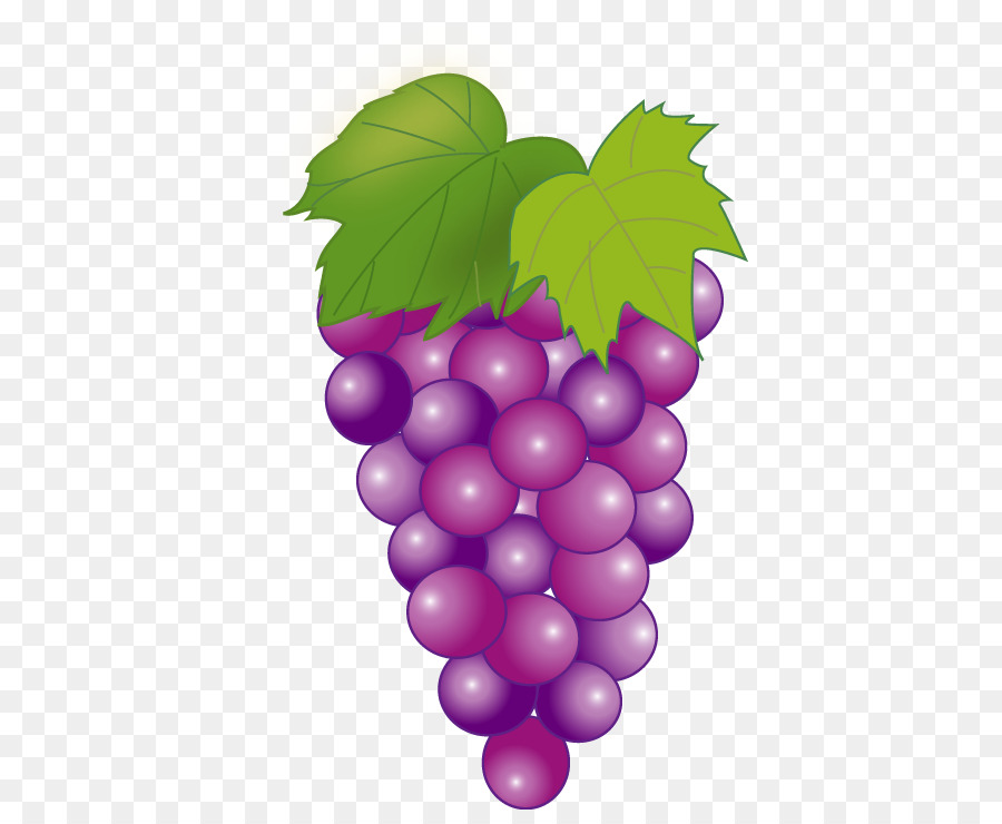 Uvas Moradas，Hojas PNG