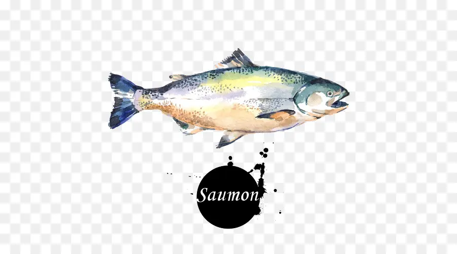 Pescado Salmón，Acuarela PNG