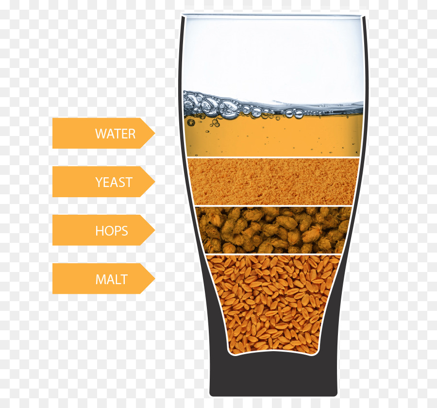 La Cerveza，Vasos De Cerveza PNG