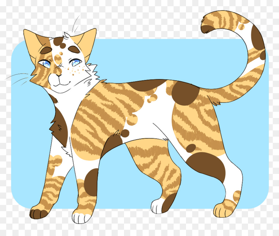 Bigotes，Gatito PNG