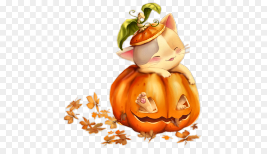 Gato En Calabaza，Lindo PNG