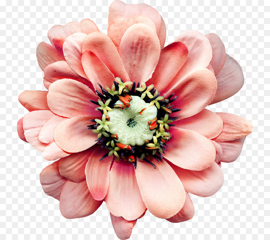 Las Flores Cortadas，Zedge PNG