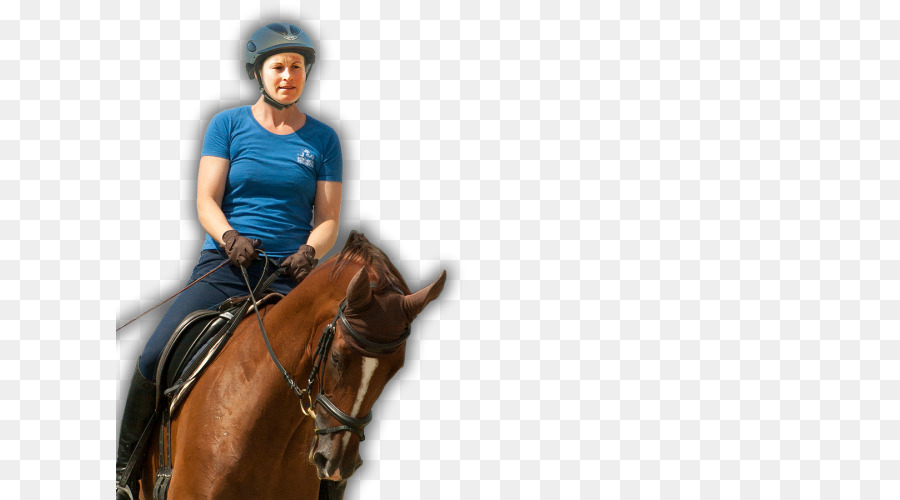 Rein，Caballo PNG
