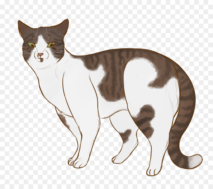 Bigotes，Manx Cat PNG