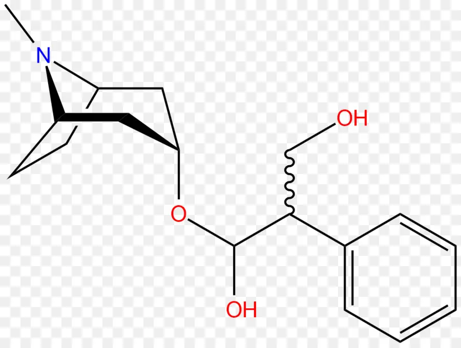 Estructura Química，Molécula PNG