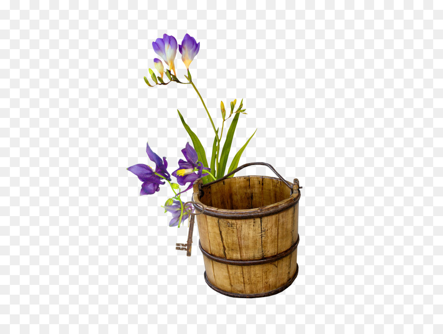 Flor，Cubo PNG