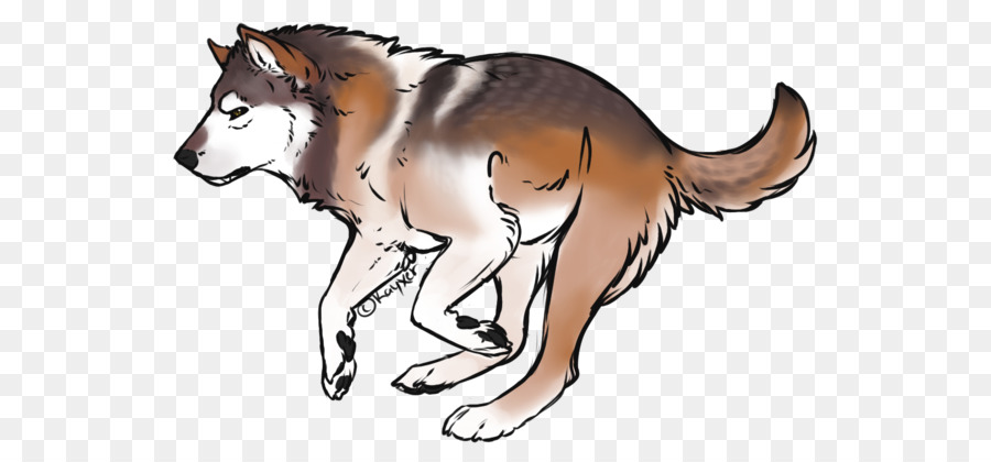 Lobo，Canino PNG