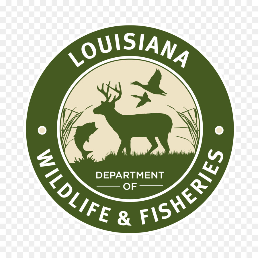 Louisiana Departamento De Pesca Y Vida Silvestre，Venecia PNG