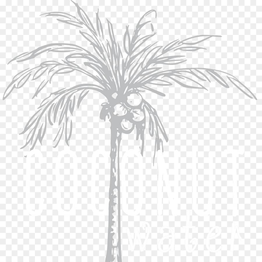 Ramita，Arecaceae PNG