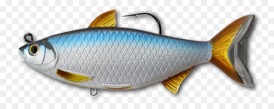 Trapacería，Brillo Dorado PNG