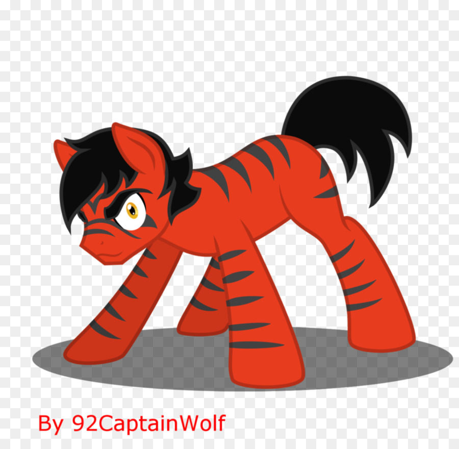 Gato，Caballo PNG