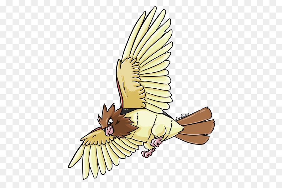 águila，Dibujo PNG