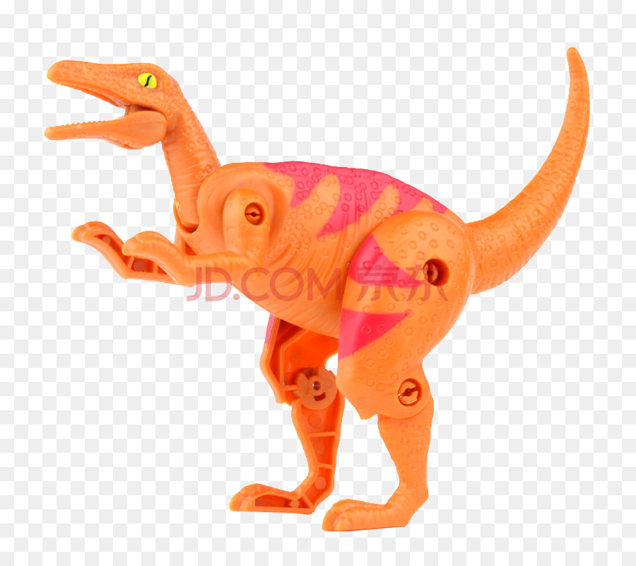 Velociraptor，El Tyrannosaurus Rex PNG