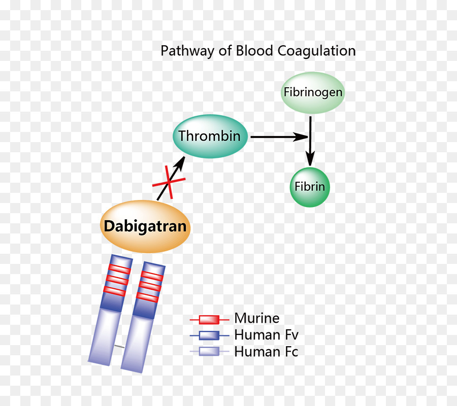 Idarucizumab，Dabigatran PNG