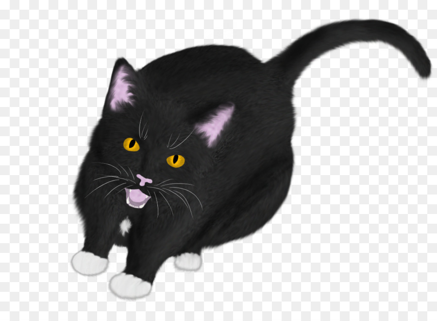 Gato Negro，Mascota PNG