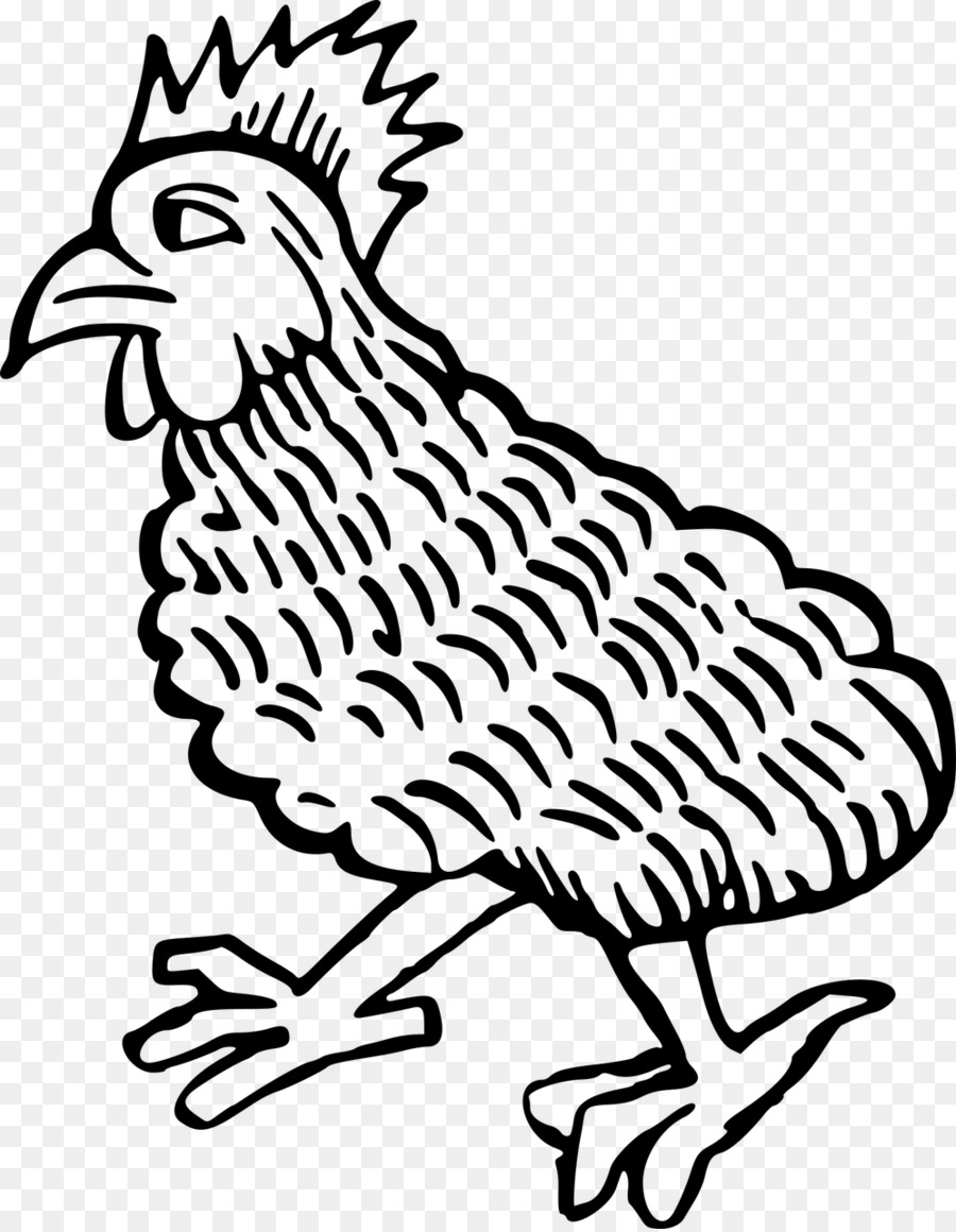 Gallo，Pollo Plymouth Rock PNG