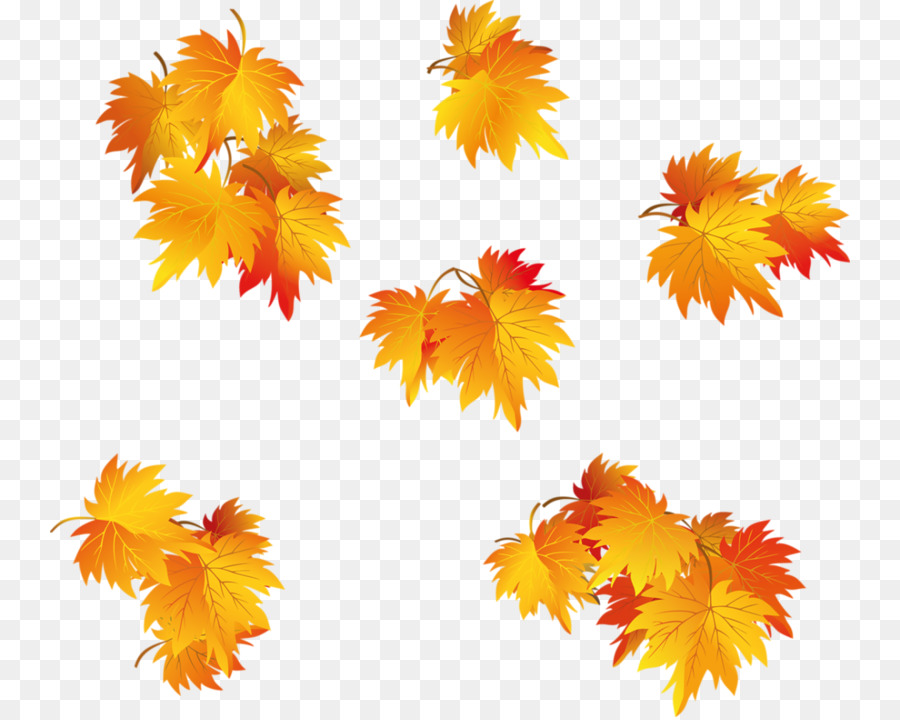 Hojas De Otoño，Caer PNG