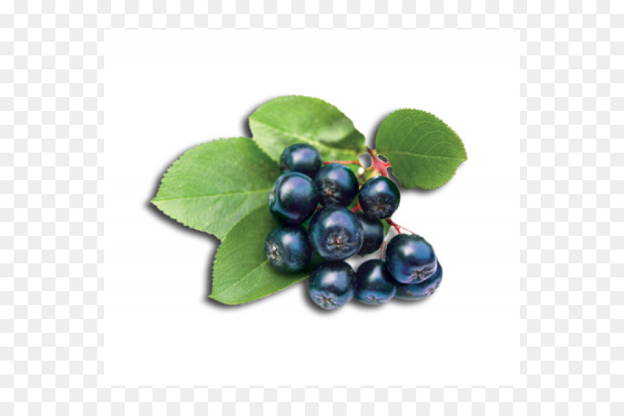 Moras，Alimento PNG