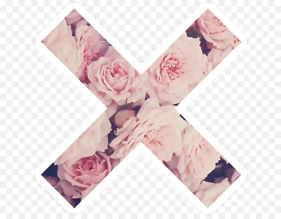 Flores X，Flores PNG