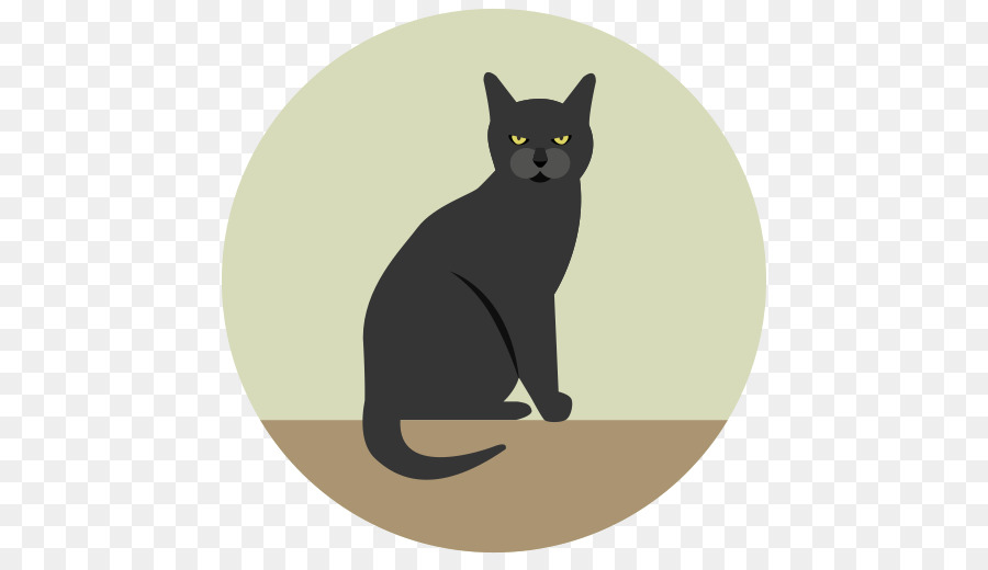 Gato，Felino PNG