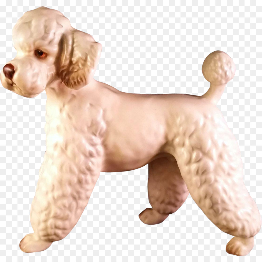 Poodle Estándar，En Miniatura Caniche PNG