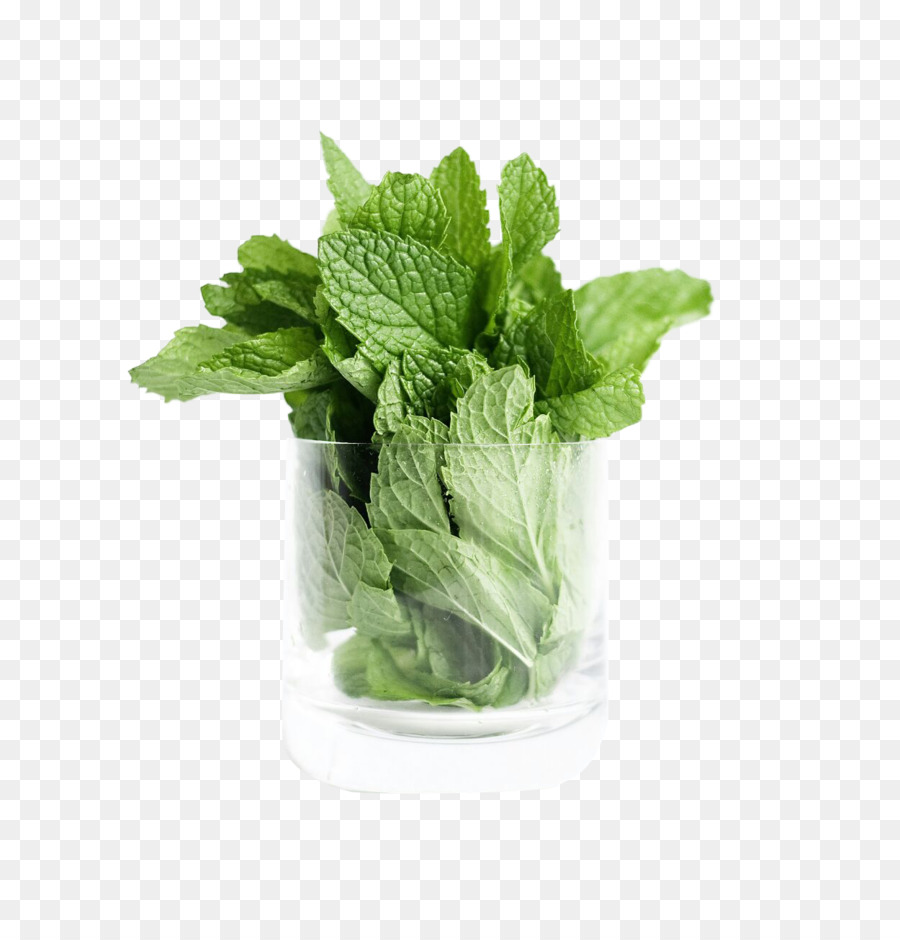 De Verduras De Primavera，Lechuga PNG