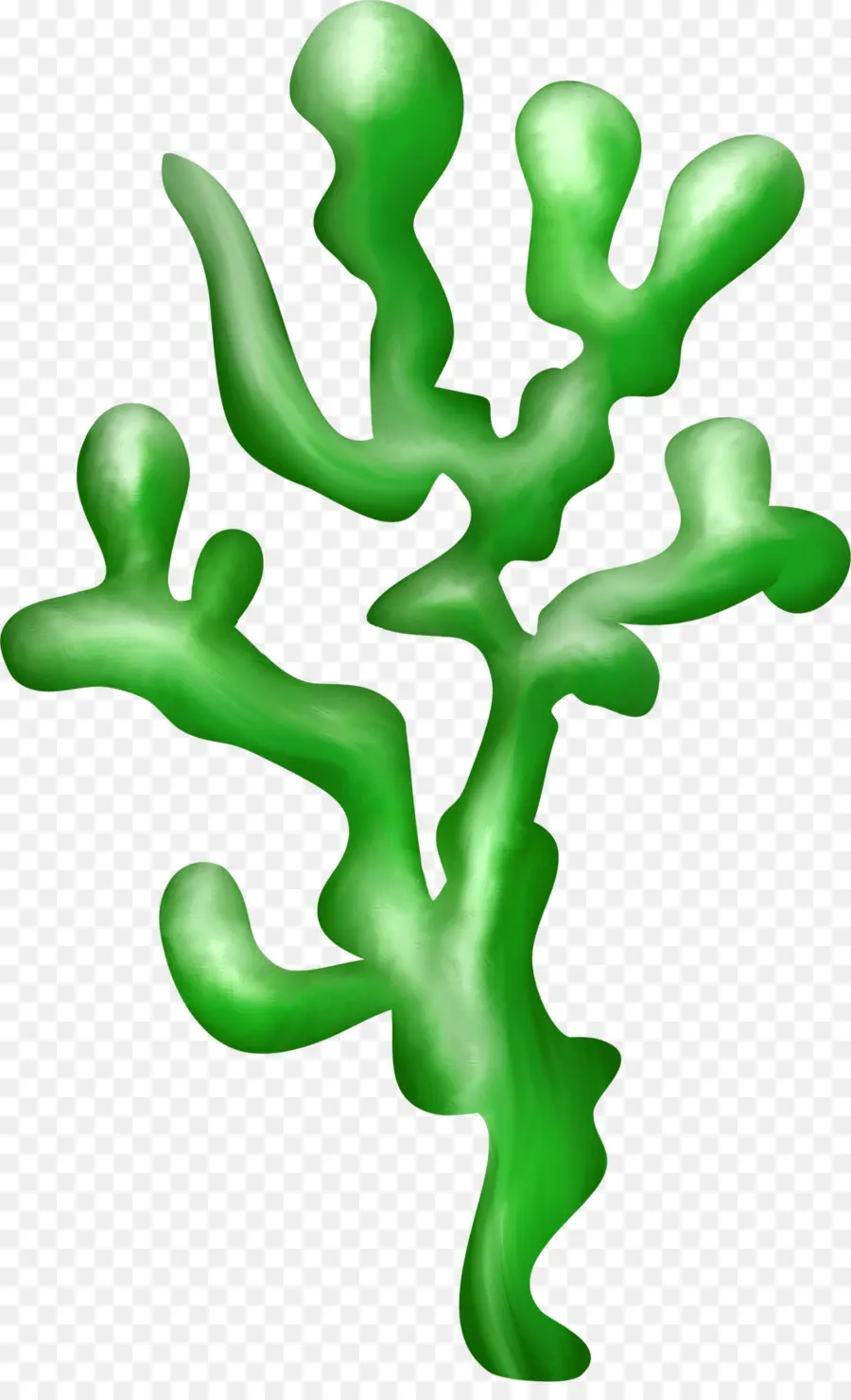 Algas Verdes，Algas PNG