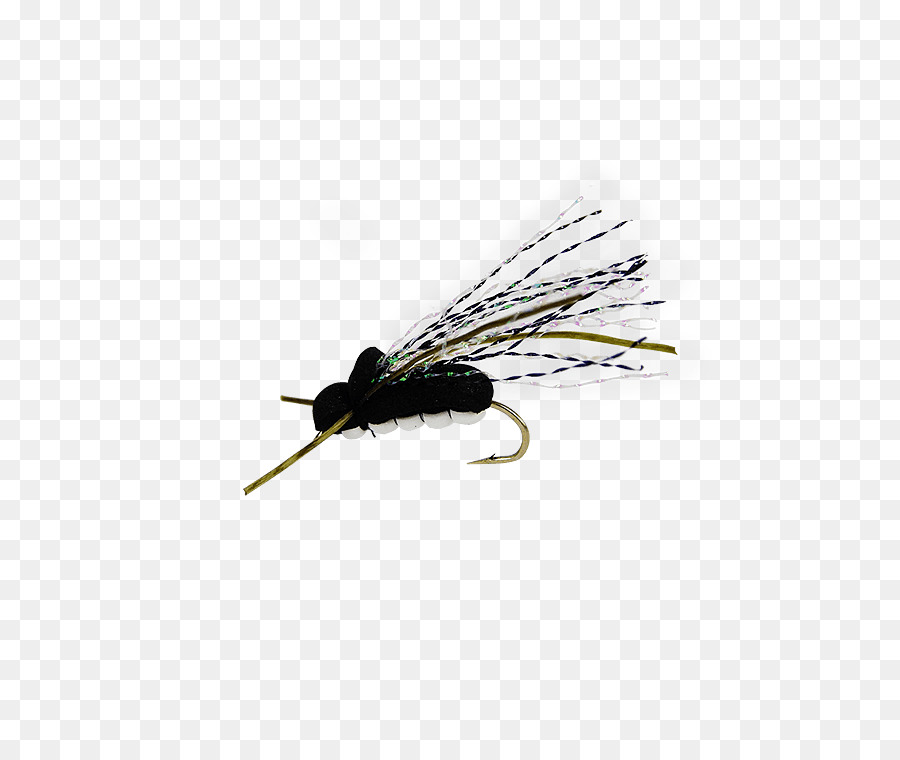 Volar，Cicadoidea PNG