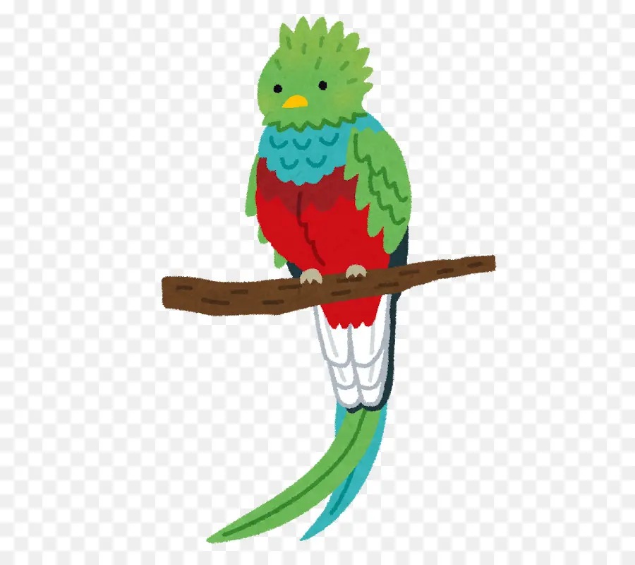 Quetzal，Rama PNG