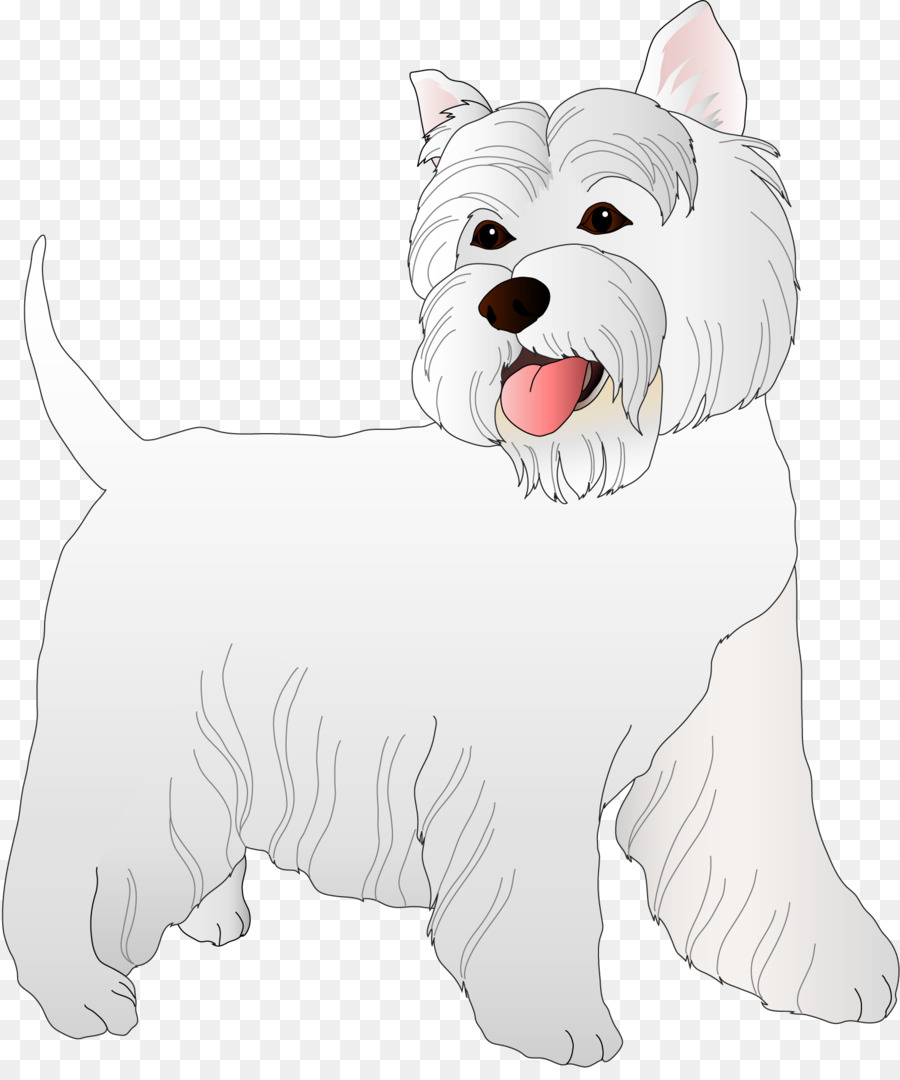 West Highland White Terrier，Perro De Compañía PNG