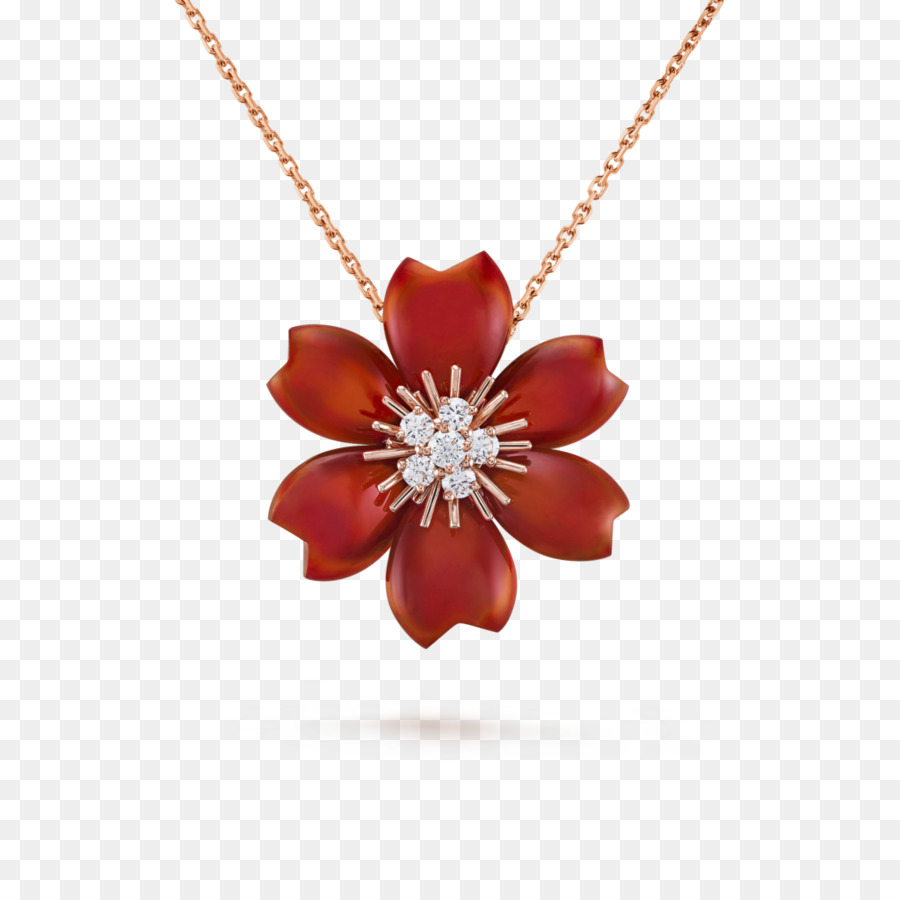 Collar De Flores，Blanco PNG