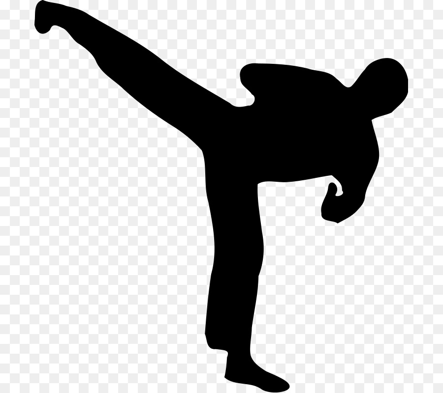 Kickboxing，Silueta PNG